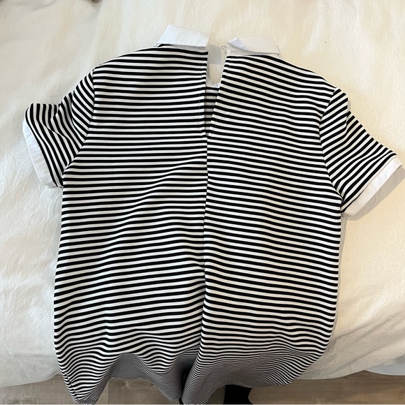 Lined dress with a collar - Picture 6 of 6